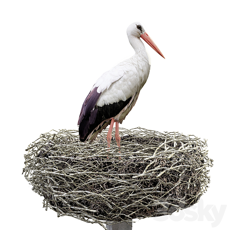 Stork 3D Model
