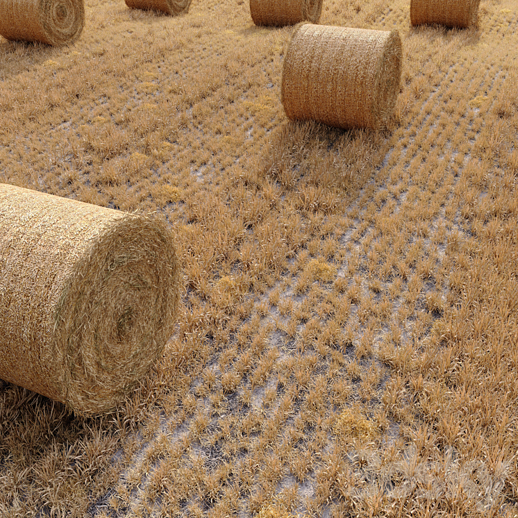 Farm field with hay bale 3D Model
