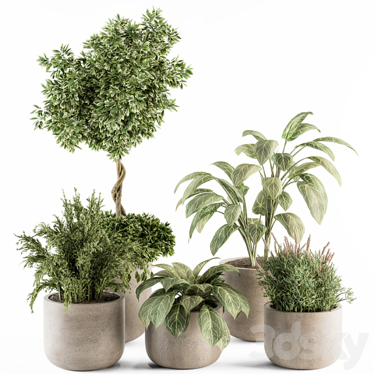 indoor Plant Set 247 – Plant Set in Pot 3DS Max Model - thumbnail 1
