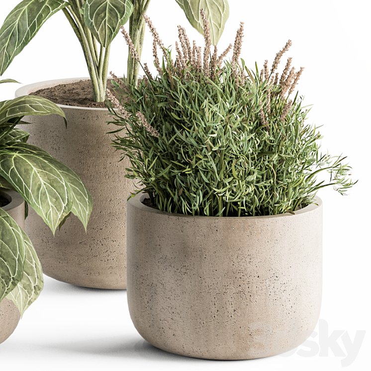indoor Plant Set 247 – Plant Set in Pot 3DS Max Model - thumbnail 2