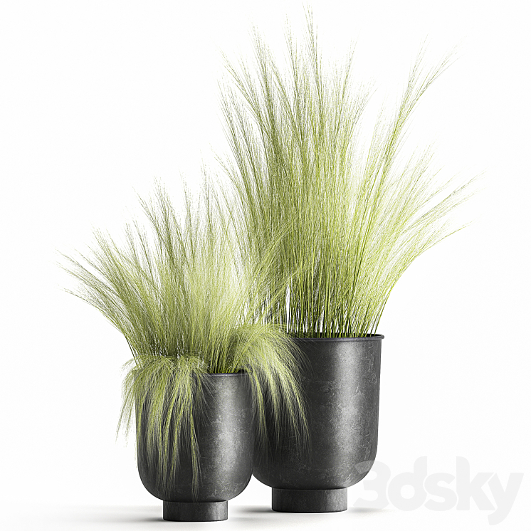 Collection of plants in black metal pots with bush grass grass. Set 1004. 3DS Max - thumbnail 1