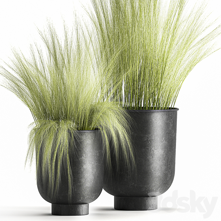 Collection of plants in black metal pots with bush grass grass. Set 1004. 3DS Max - thumbnail 2