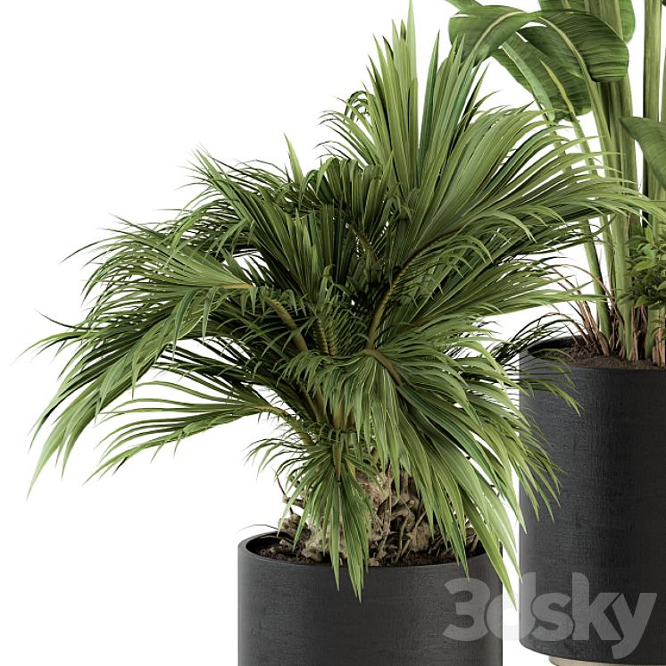 indoor Plant Set 243 – Plant Set in Pot 3DS Max - thumbnail 2