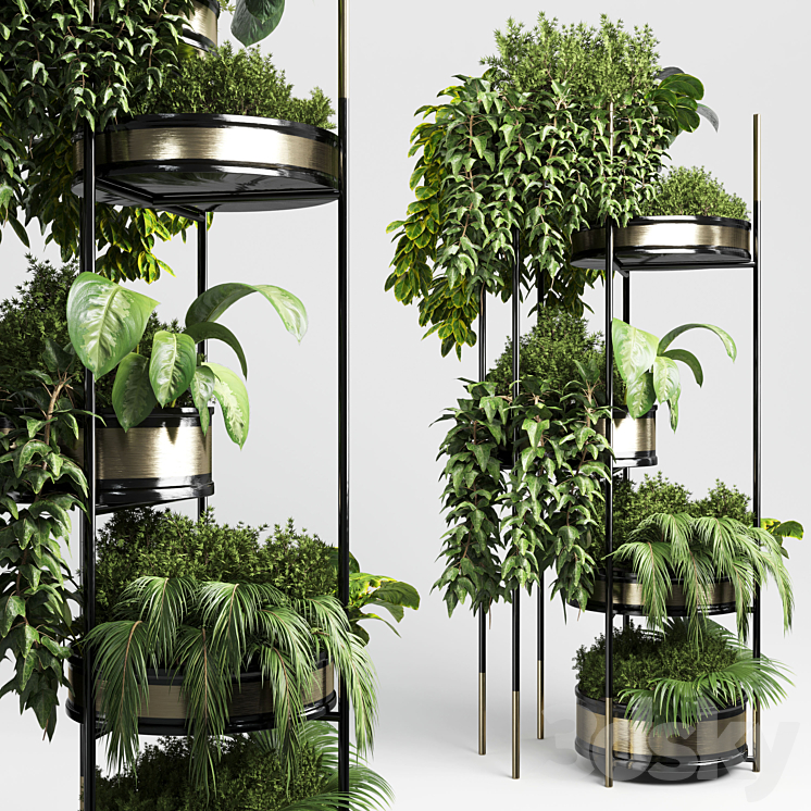 collection Indoor plant plant stairs stand metal vase 10 3DS Max - thumbnail 1