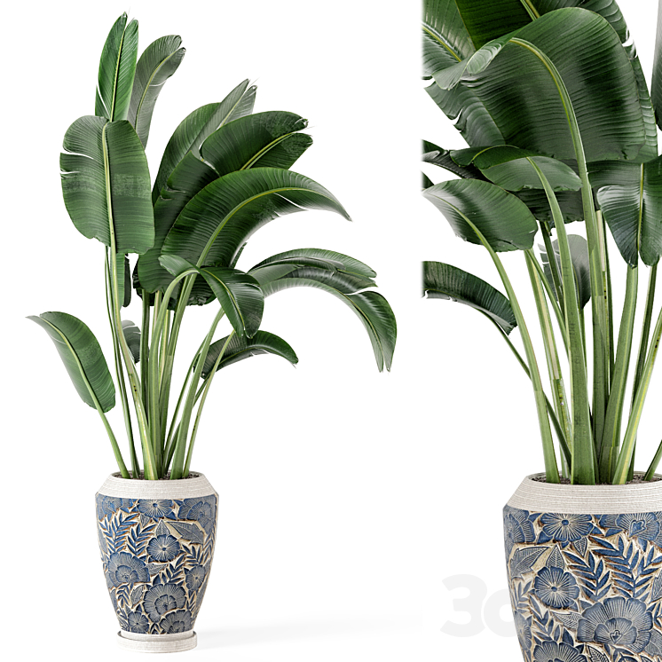 Indoor Plants in rusty Concrete Pot - Set 184 3D Model Free