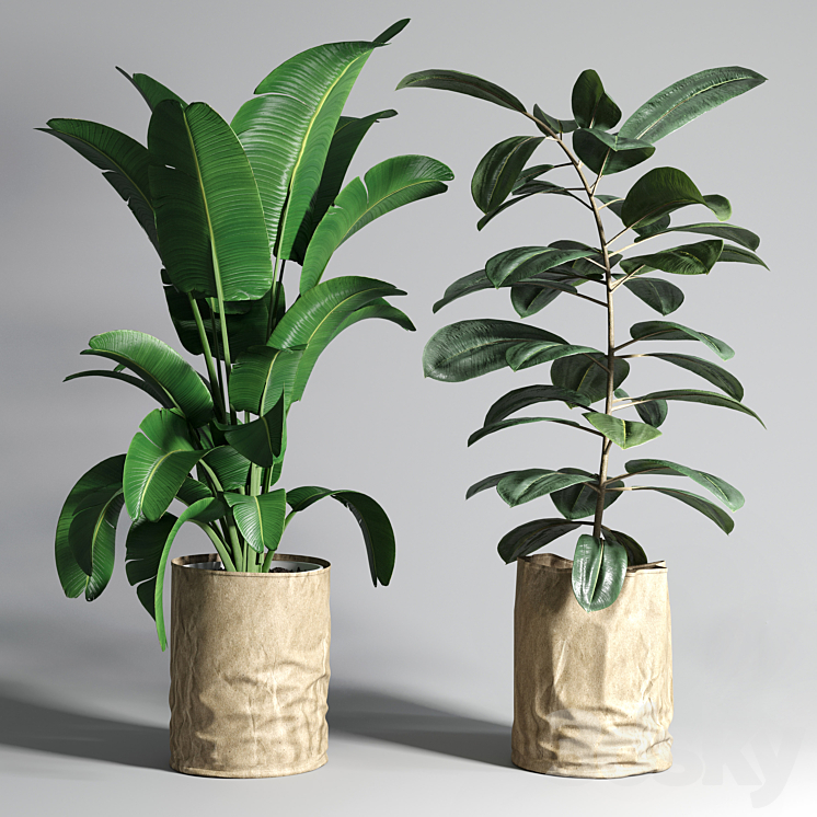 collection Indoor plant 88 paper vase envelope vase pot palnt 3DS Max Model - thumbnail 1