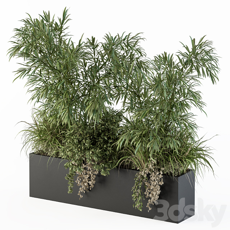 Outdoor Plant Set 252 – Plant Box with Bamboo Tree 3DS Max - thumbnail 1