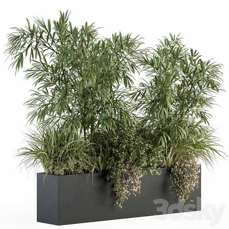 Outdoor Plant Set 252 – Plant Box with Bamboo Tree 3DS Max - thumbnail 2
