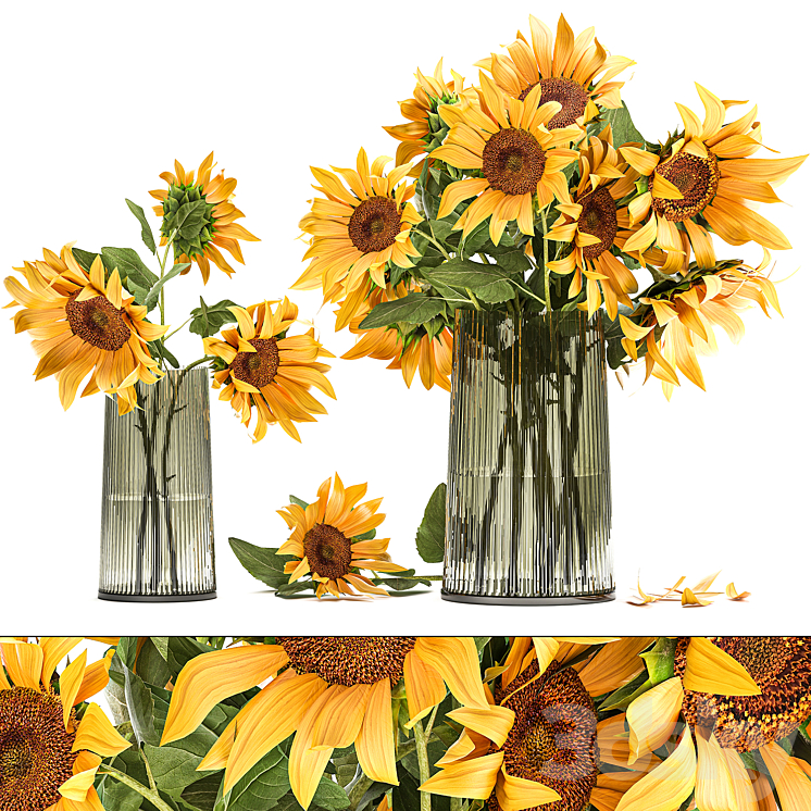 A set of beautiful bouquets of yellow flowers in a vase with Sunflower Sunflower. 119 3DS Max - thumbnail 1