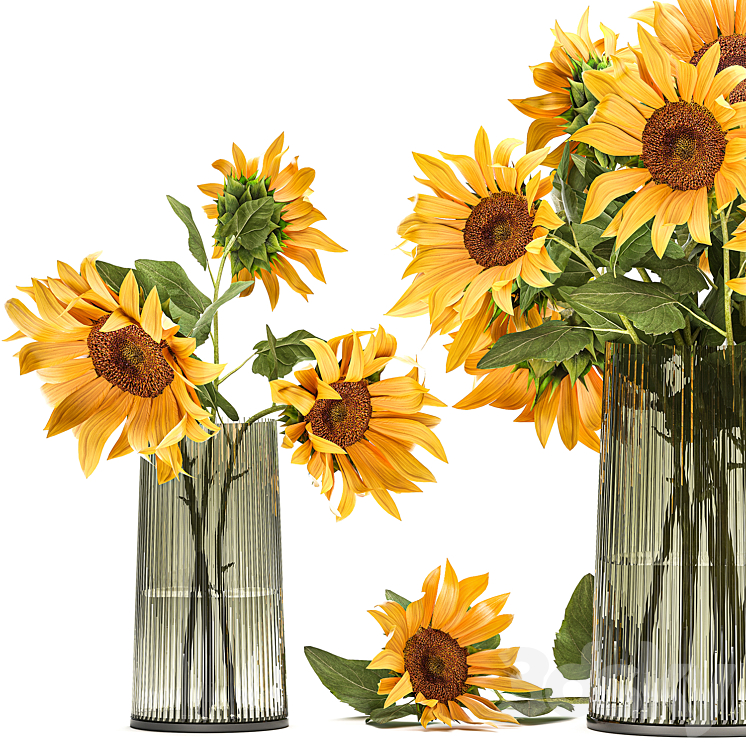A set of beautiful bouquets of yellow flowers in a vase with Sunflower Sunflower. 119 3DS Max - thumbnail 2