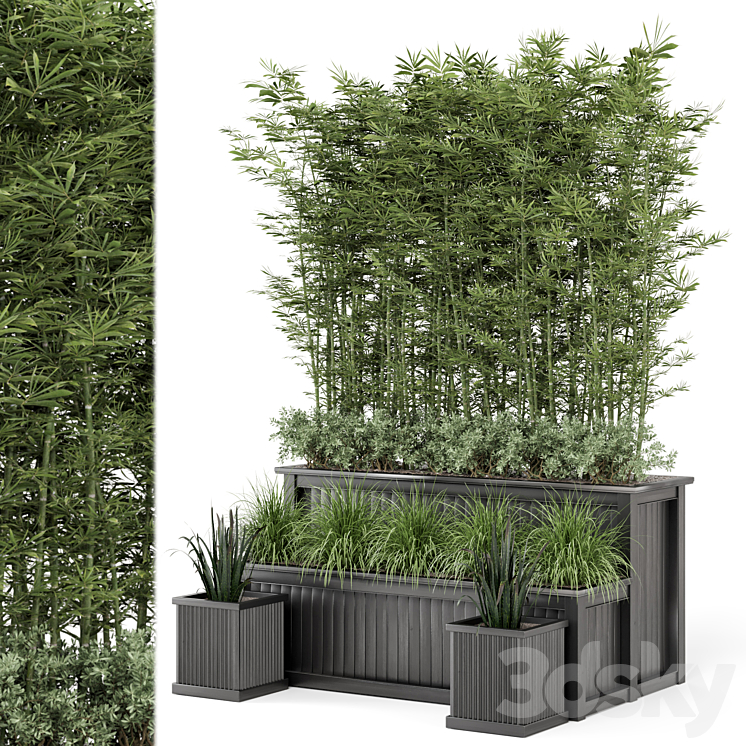 Outdoor Plants Bamboo and bush in Wooden Pot -Set 195 3DS Max - thumbnail 1