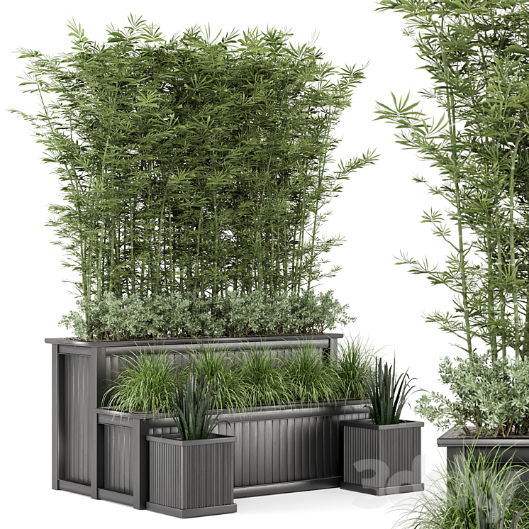 Outdoor Plants Bamboo and bush in Wooden Pot -Set 195 3DS Max - thumbnail 2