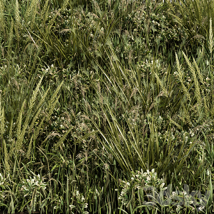 Wild Grass Green – Grass Set 03 3D Model