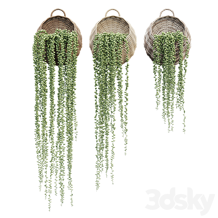 Wicker basket one 3D Model