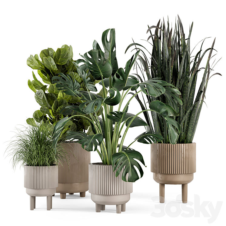 Indoor Plants in Standing Legs Small Bowl Concrete Pot – Set 214 3DS Max Model - thumbnail 1