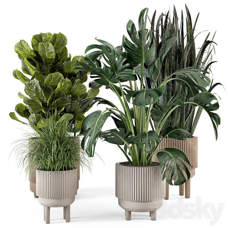 Indoor Plants in Standing Legs Small Bowl Concrete Pot – Set 214 3DS Max Model - thumbnail 2