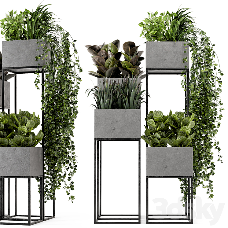 Indoor Plants in rusty Concrete Pot on Metal Shelf - Set 221 3D Model