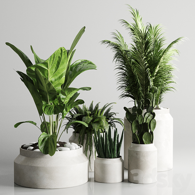 Collection indoor plant 96 pot plant palm fern cactus concrete vase 3DS Max - thumbnail 1