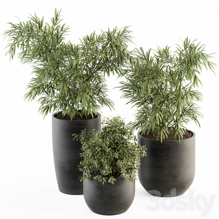 indoor Plant Set 253 – Plants Set in pot 3DS Max - thumbnail 1