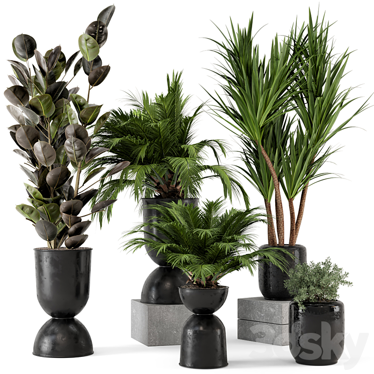 Indoor Plants in Ferm Living Bau Pot Large – Set 226 3DS Max - thumbnail 1