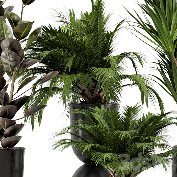 Indoor Plants in Ferm Living Bau Pot Large – Set 226 3DS Max - thumbnail 2