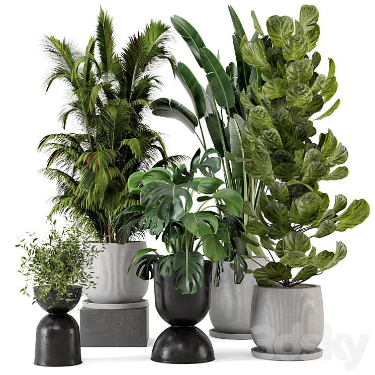 Indoor Plants in Ferm Living Bau Pot Large – Set 230 3DS Max Model - thumbnail 1