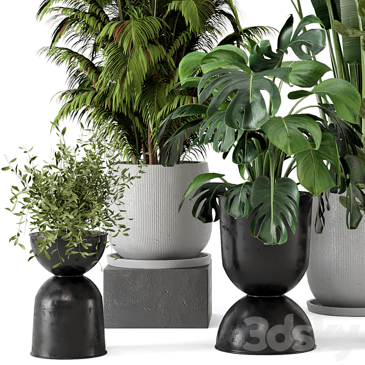 Indoor Plants in Ferm Living Bau Pot Large – Set 230 3DS Max Model - thumbnail 2