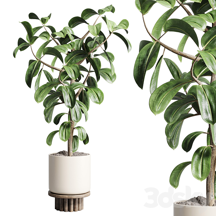 Indoor outdoor plant 106 wood vase pot ficus rubbery 3DS Max - thumbnail 1
