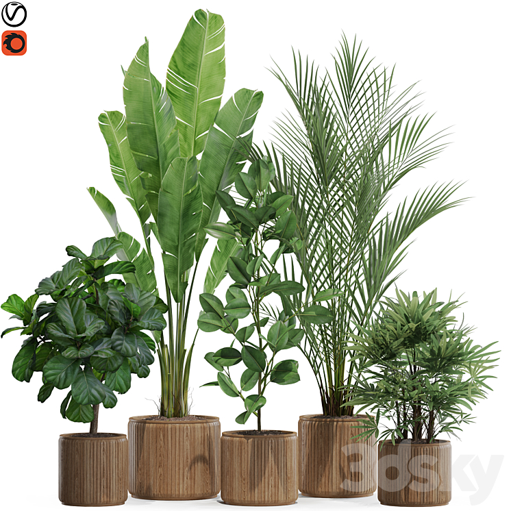 Plants collection 563 3DS Max Model - thumbnail 1