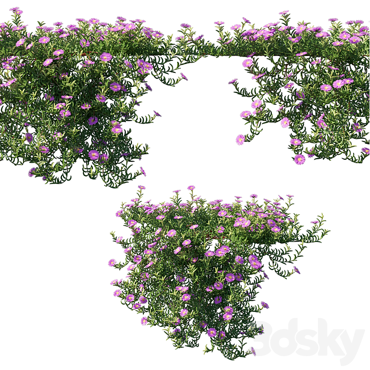Aussie Rambler 02 3D Model Free