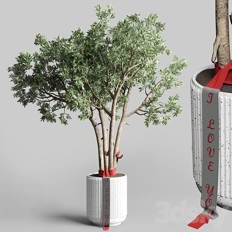 Indoor outdoor plant 111 pot friendship-love tree concrete vase 3DS Max Model - thumbnail 1