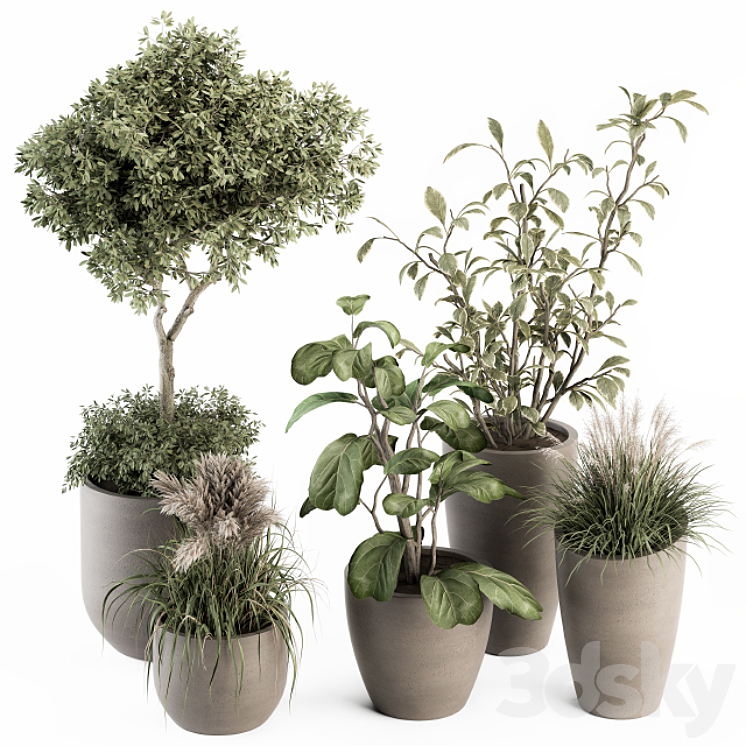 indoor Plant Set 264 – Plant Set in pot 3DS Max - thumbnail 1