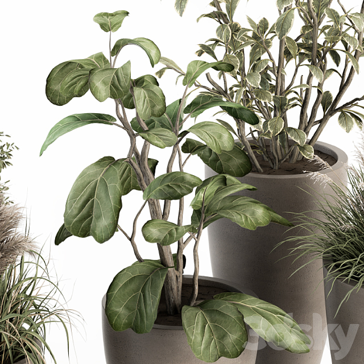 indoor Plant Set 264 – Plant Set in pot 3DS Max - thumbnail 2