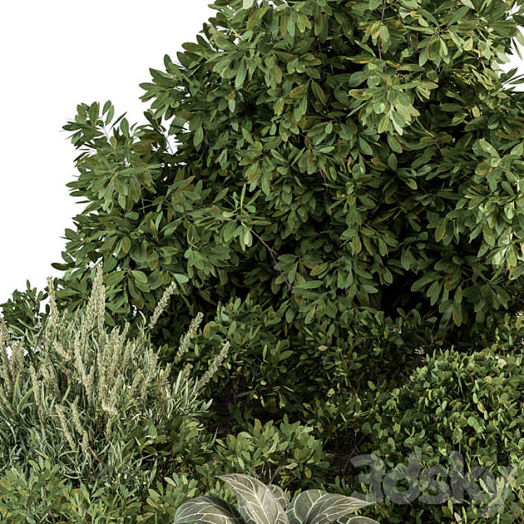 Garden set ivy and Bush – Garden Set 20 3DS Max - thumbnail 2