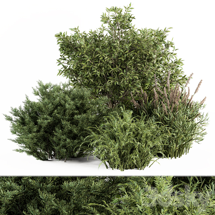 Mixed Plant Bush – Bush Set 37 3D Model