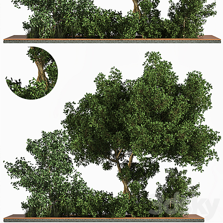 Garden_set_Grass _ & _ Tree Free Download