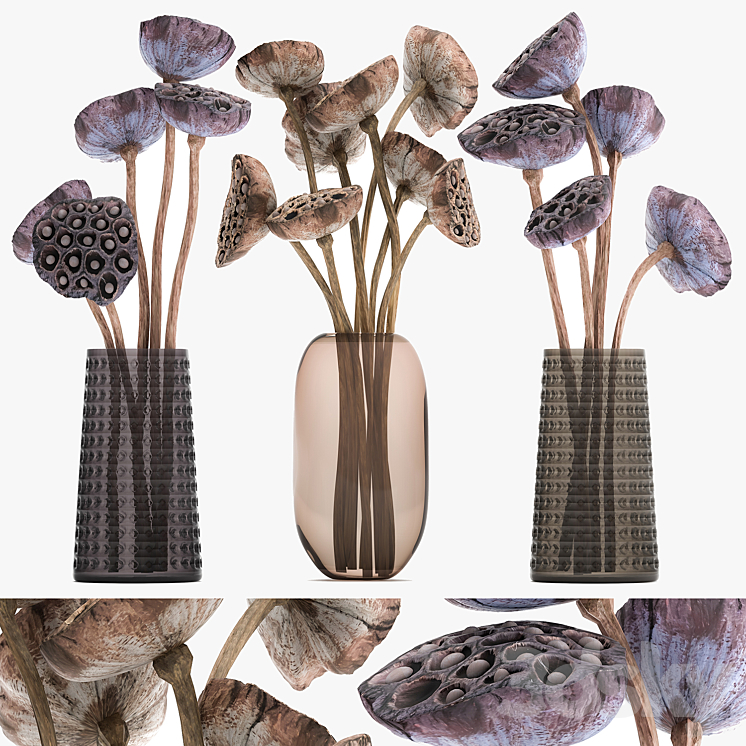 A set of bouquets of dried flowers in glass vases dry Lotus branches natural decor. 152. 3DS Max Model - thumbnail 1