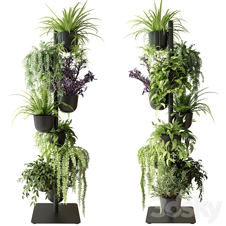 Rack with indoor plants in pots 3DS Max - thumbnail 2