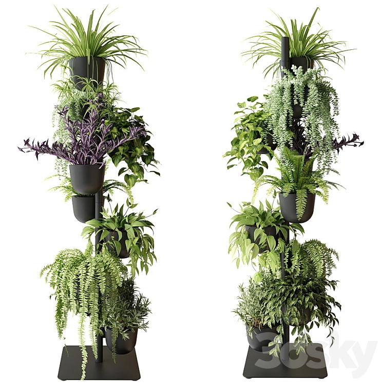 Rack with indoor plants in pots 3DS Max Model - thumbnail 1