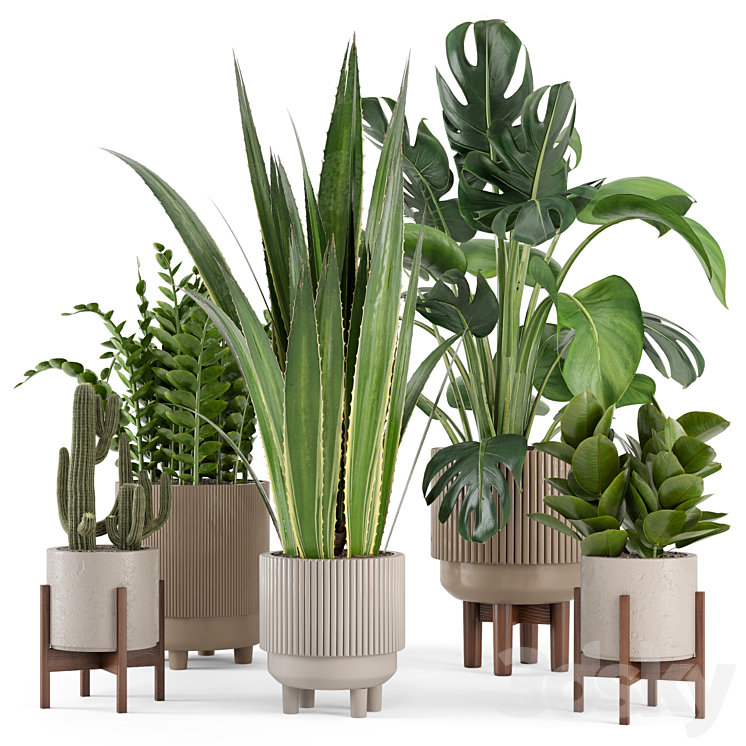 Indoor Plants in Standing Legs Small Bowl Concrete Pot – Set 245 3DS Max Model - thumbnail 1