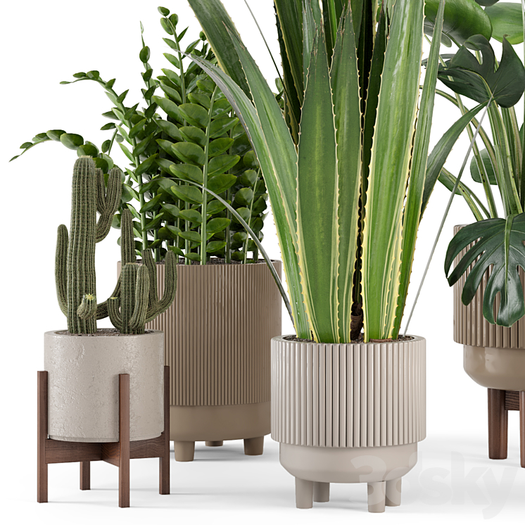 Indoor Plants in Standing Legs Small Bowl Concrete Pot - Set 245 3D Model Free