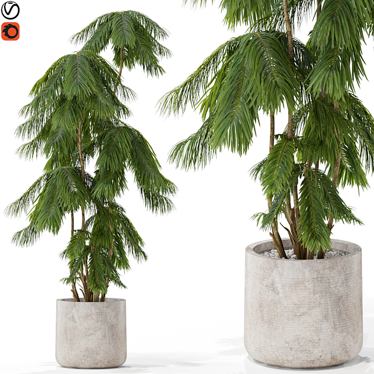 Plants collection 573 3DS Max Model - thumbnail 1
