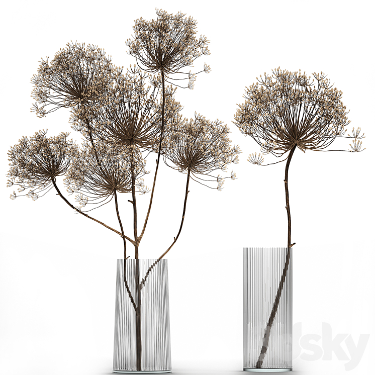 Bouquet of dried flowers in a glass vase with dry branches Hogweed . 158. 3DS Max Model - thumbnail 1