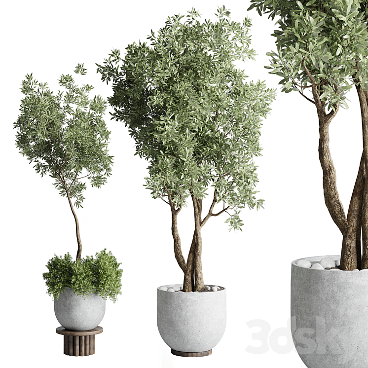 Collection Outdoor Indoor plant 52 concrete dirt vase pot tree 3DS Max Model - thumbnail 1