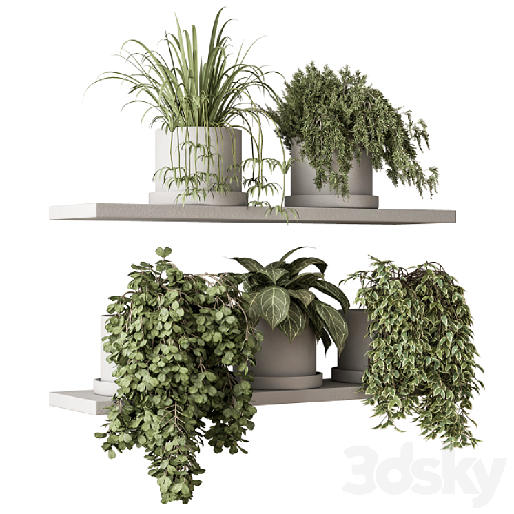 indoor Plant Set 281 - Plant pot on shelves 3D Model
