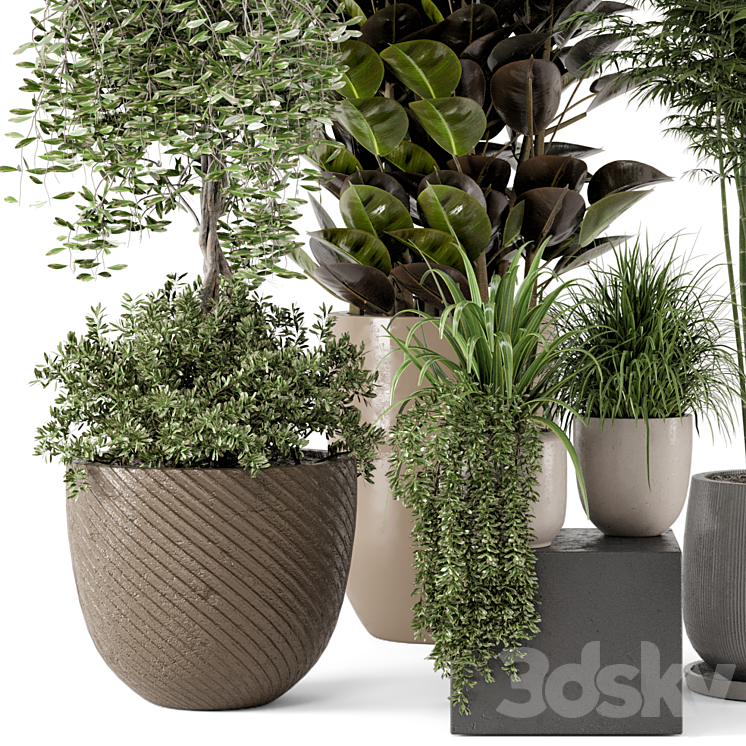 Indoor Plants in rusty Concrete Pot – Set 229 3DS Max - thumbnail 2