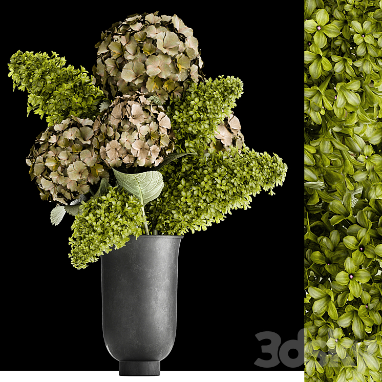 Beautiful modern bouquet of green flowers in a black vase with Hydrangea green Lilac. 169 3DS Max - thumbnail 1
