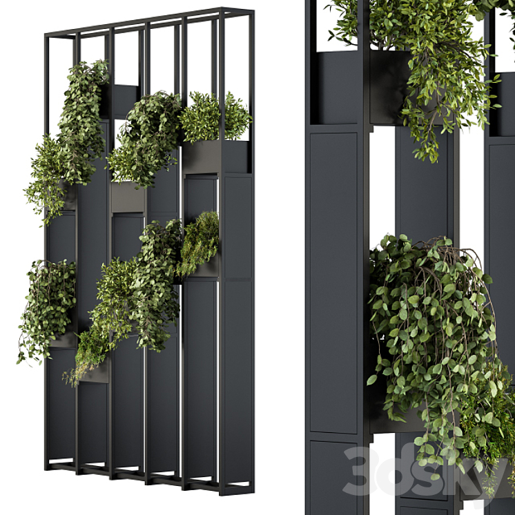 Green Wall - Plants partition 02 3D Model Free