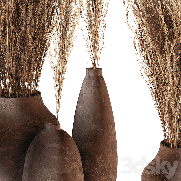 Indoor plants 01 – Pampas set in Pottery Pots 3DS Max - thumbnail 2