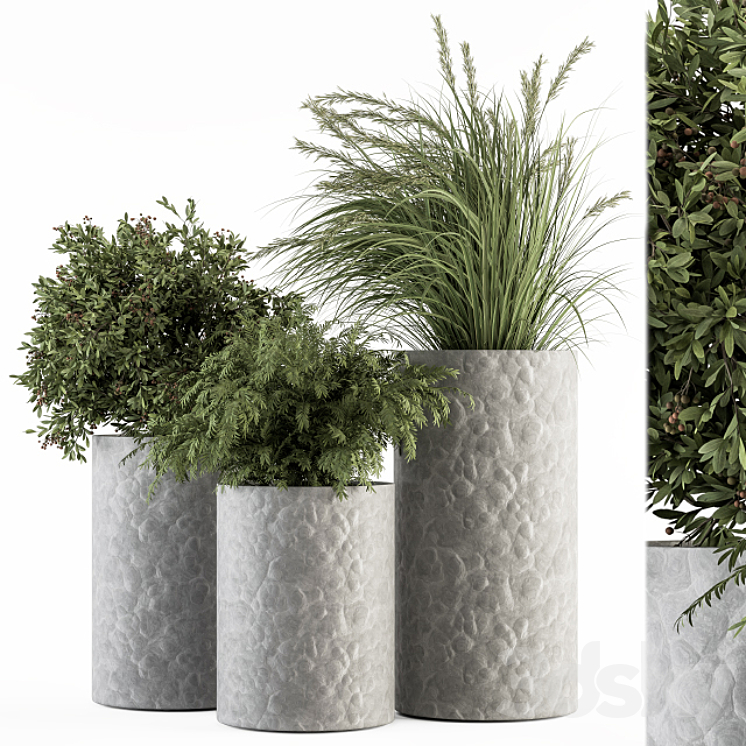 Outdoor Plant Set 292 – Plant Set in Concrete Pot 3DS Max Model - thumbnail 1